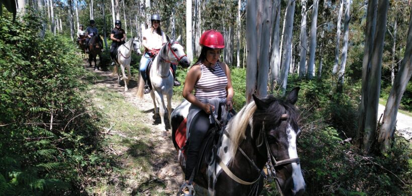 GALERÍA DE ACTIVIDADES 2019